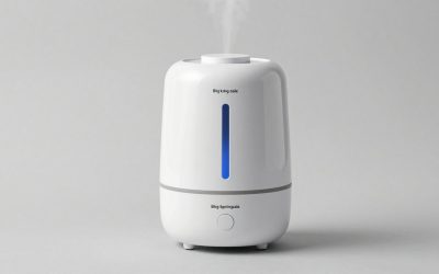Best Big Spring Sale Humidifier Deals