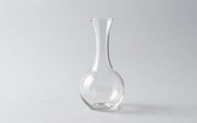 Best Decanters for Wine and Spirits