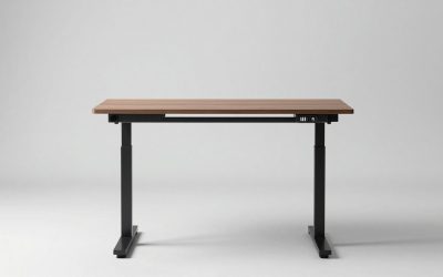 Best Electric Standing Gaming Desk under 300 Dollars in 2026: Compared and Ranked