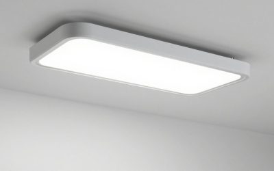 Best Indoor Grow Lights for Houseplants