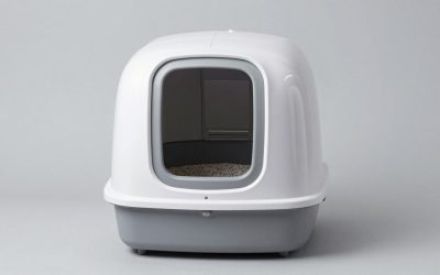 Best Self-Cleaning Litter Boxes for Easy Care