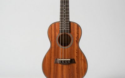 Best Ukuleles for Beginners and Experienced Players
