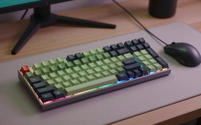 Does OLED Monitor Affect FPS: Full Performance Test Guide