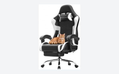 Dowinx X-Large Spring Cushion Gaming Chair Review: Fit Questions Behind the Footrest