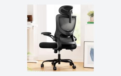 Marsail Ergonomic Office Chair Review: Adjustable Support, Uncertain Seat Fit